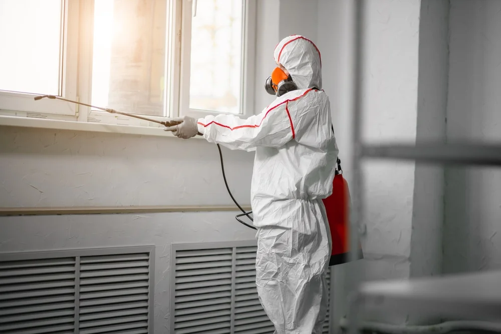 Professional mold remediation services in Wayne, OH